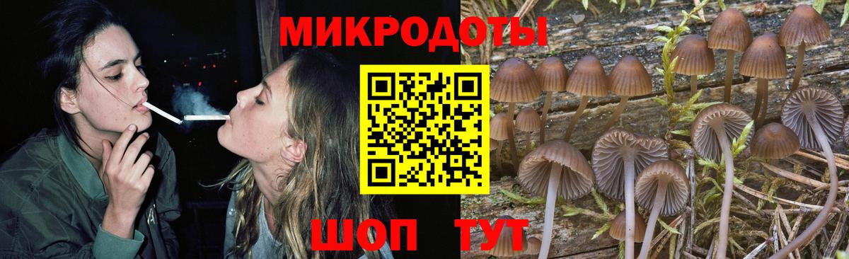 Аша  Галлюциногенные грибы Magic Shrooms  Вход с VPN 