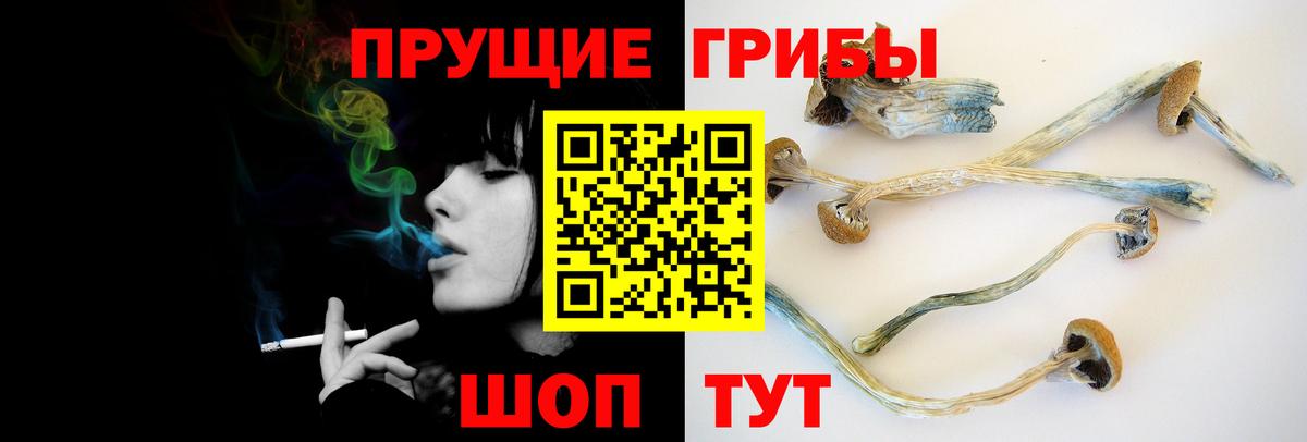 Галлюциногенные грибы Psilocybine cubensis Аша